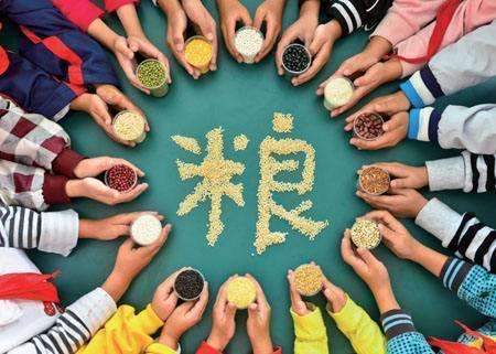 輸送帶廠家：第40個(gè)世界糧食日，食品安全很重要